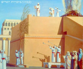מורביות וערבות